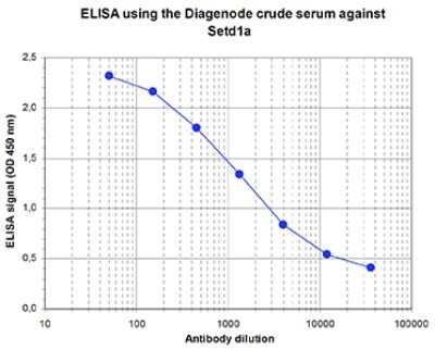 ELISA: SETD1A Antibody [NBP3-18681]